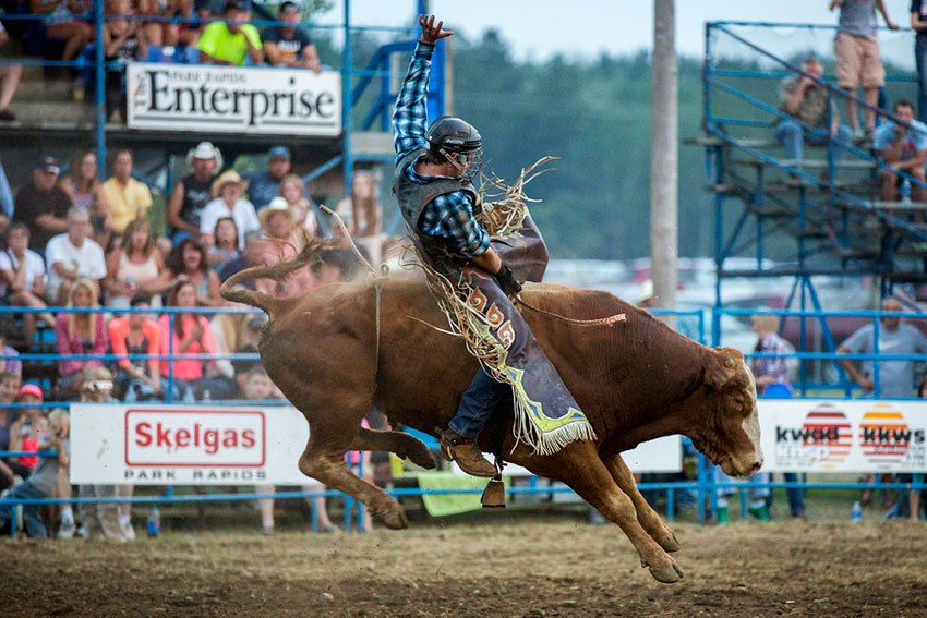 Bull Rider