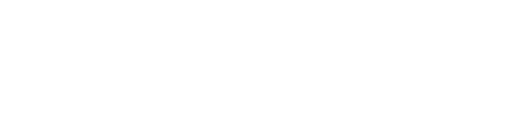 FlexSim